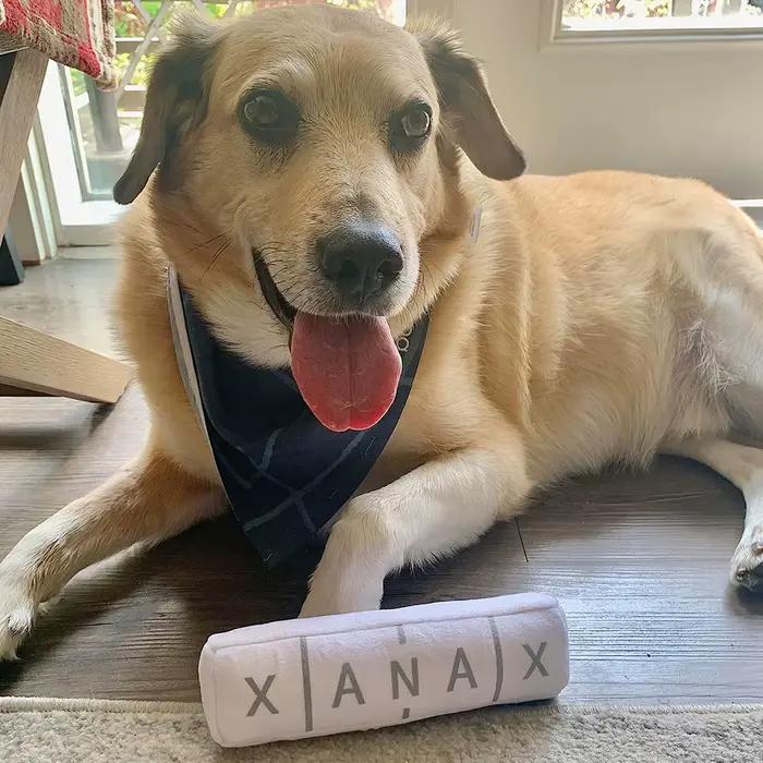 Chill Pup Jouet drôle pour chien