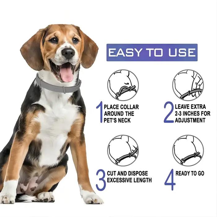 VIP livraison directe collier de chien chiot chat 70 cm 38 cm pour petits chiens chats