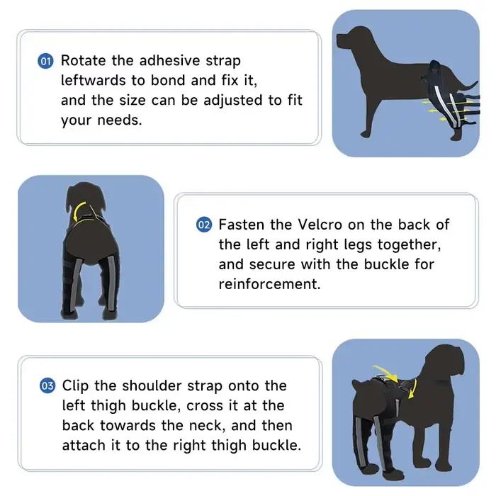 Attelle de soutien réglable pour genou de chien âgé