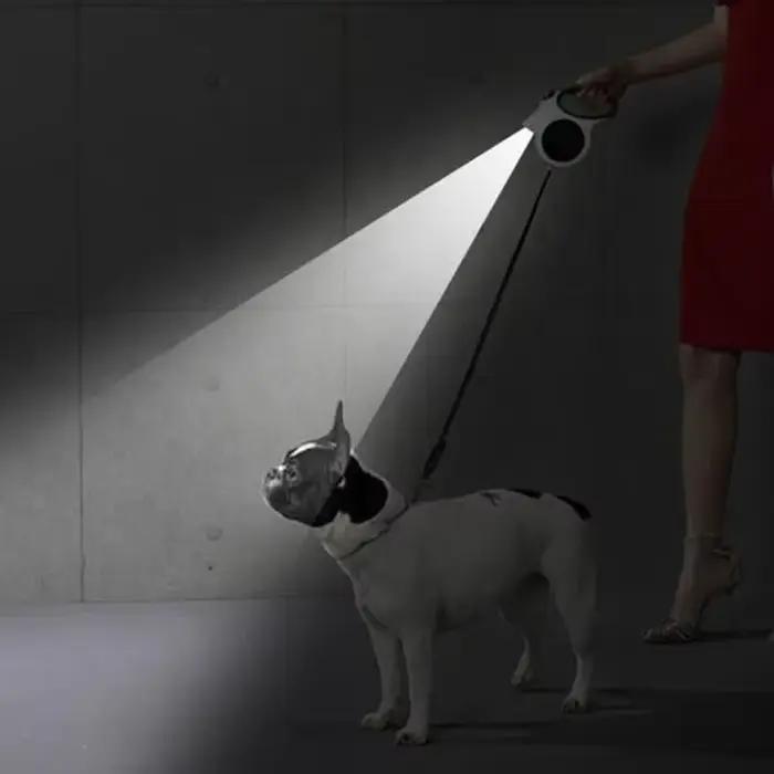 Laisse rétractable éclairée pour chien
