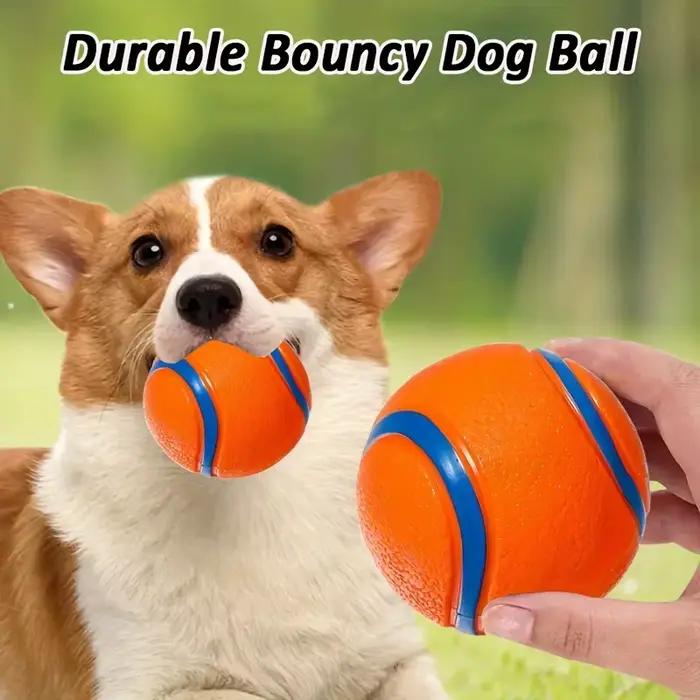 Balle de chien indestructible