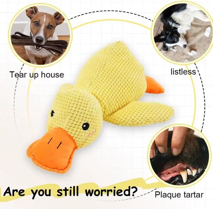 Jouet pour chien en peluche résistant aux morsures