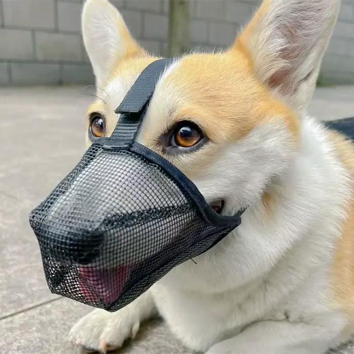 Muselière en maille pour chien