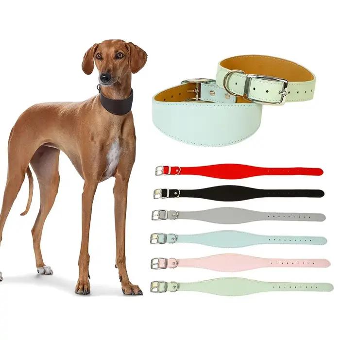 Collier pour animaux de compagnie en PU