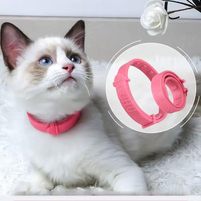 Collier pour chien et chat