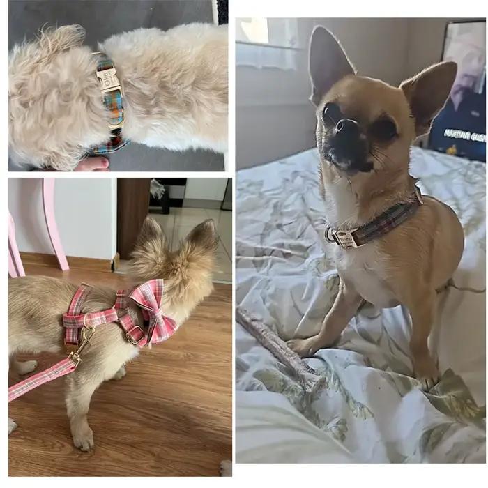 Collier pour chien au Design à carreaux à la mode