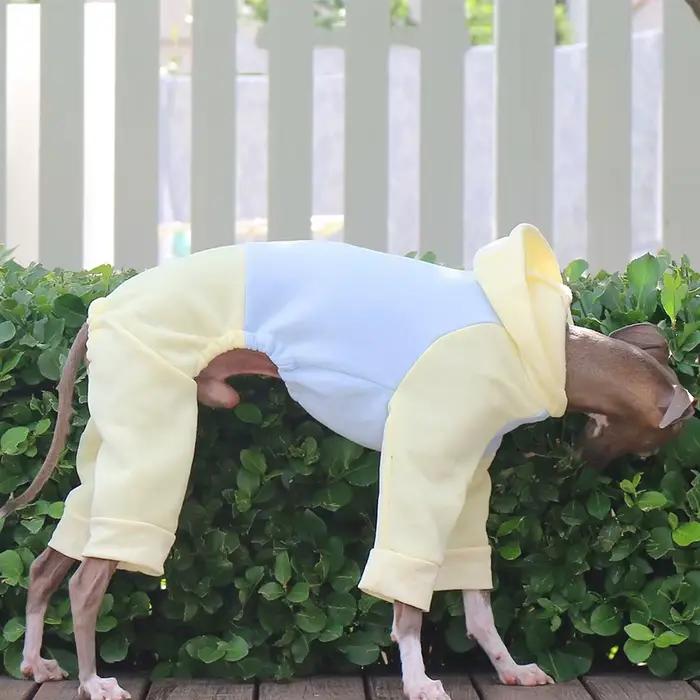 Hiver chien sweat à capuche Whippet manteaux pour animaux de compagnie Pyjamas