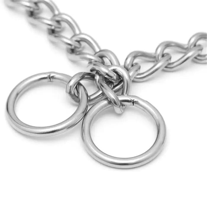 Collier de starter pour chien