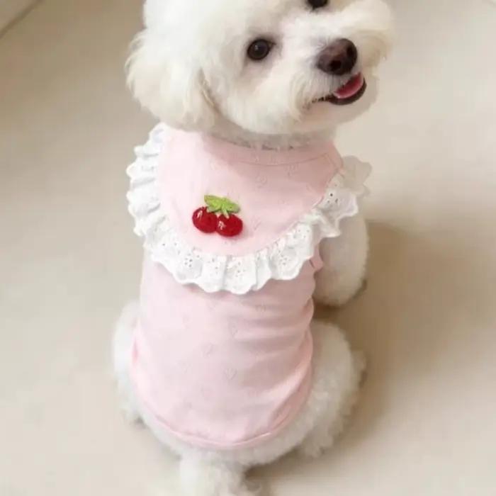 Gilet en dentelle pour chien à col volanté