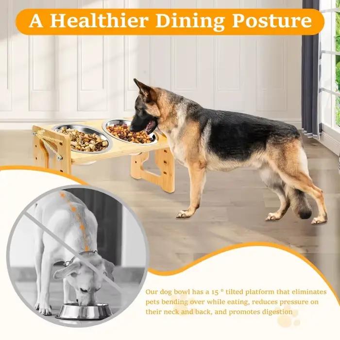 Bols d'alimentation surélevés pour chiens