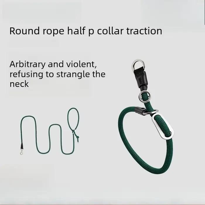 Ensemble collier et laisse pour chien en corde semi-ronde