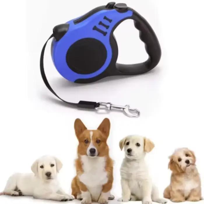 Laisse rétractable automatique pour petits chiens et chats