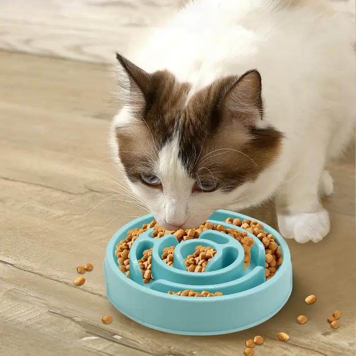 Bol d'alimentation lente pour chien de compagnie