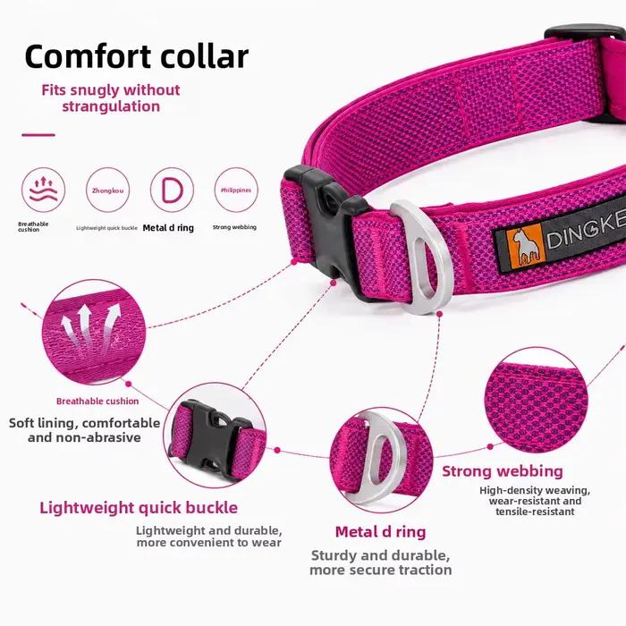 Nouveau collier pour chien