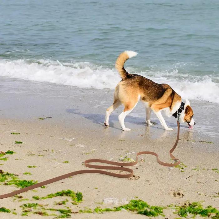 Laisse longue en caoutchouc pour chien