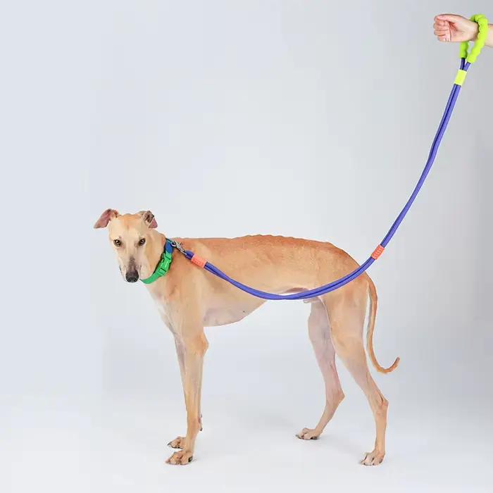 Laisse multifonctionnelle pour chien