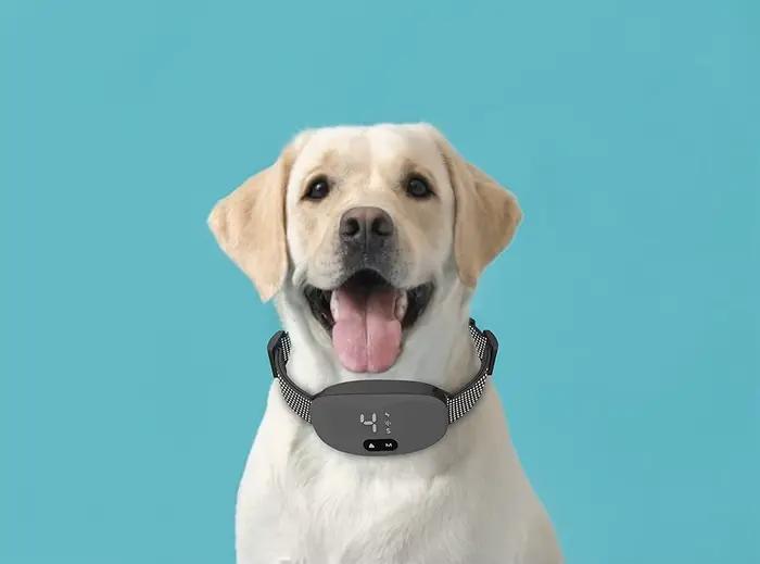 Collier Anti-aboiement pour chien