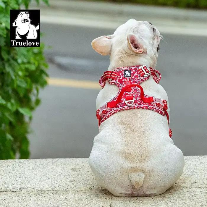 TruelGru- Tissu en coton SFP Floral pour animaux de compagnie
