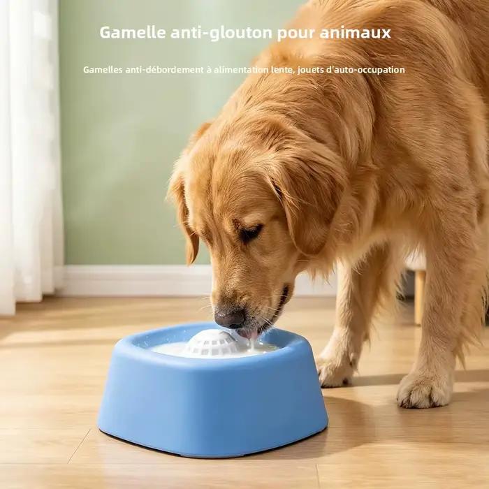 Jouets interactifs pour animaux de compagnie : Distributeur de nourriture à alimentation lente avec boule roulante