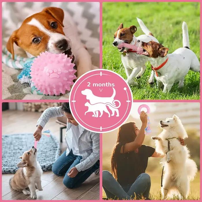 Jouets à mâcher pour chien doux