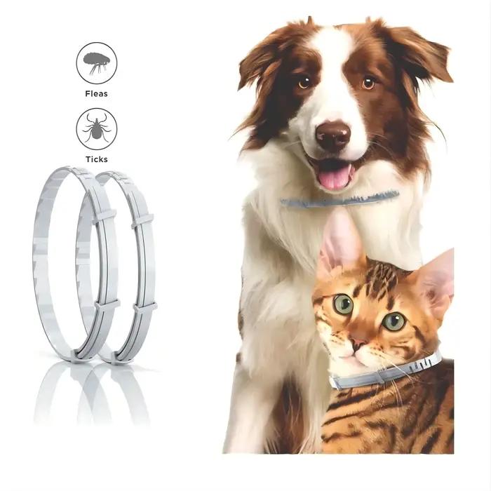 VIP livraison directe collier de chien chiot chat 70 cm 38 cm pour petits chiens chats
