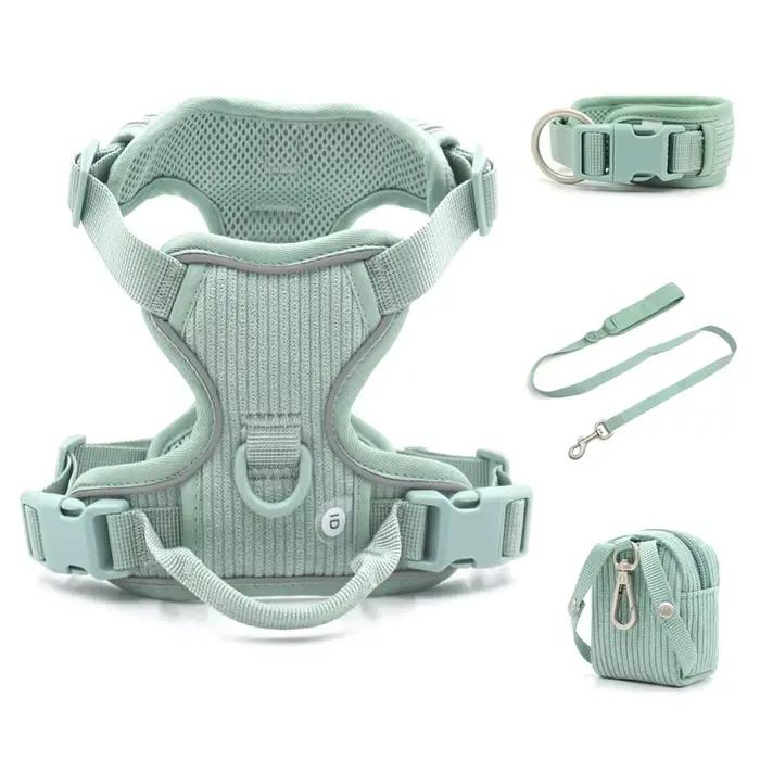 Collier pour chien personnalisé