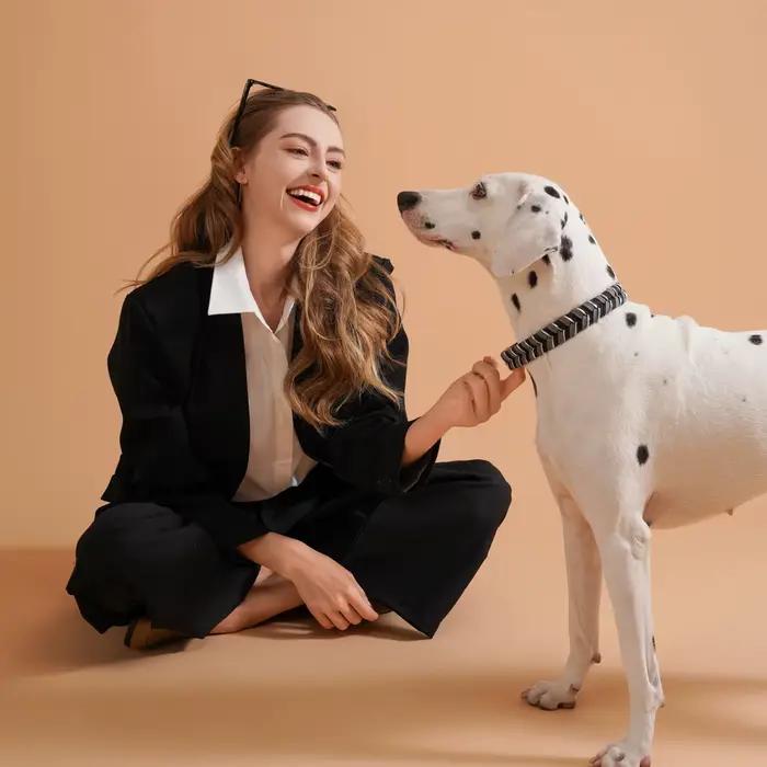 Collier de mode pour chien pour dames