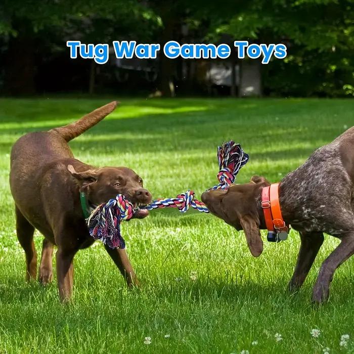 Jouets à nœud pour chiens