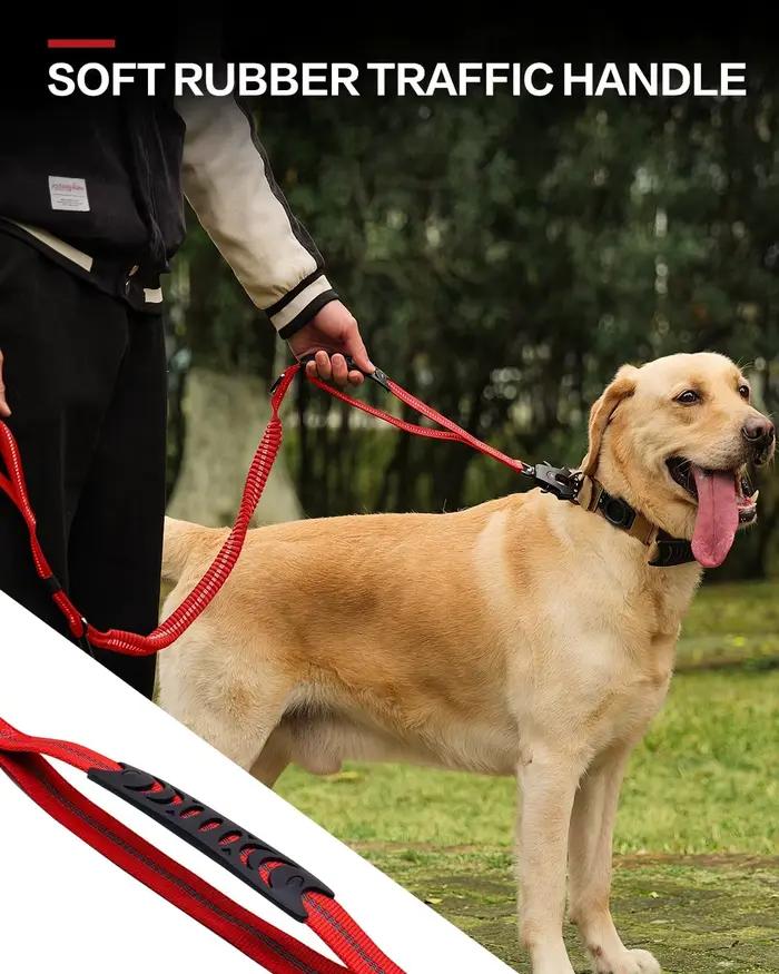 Laisse tactique pour chien robuste