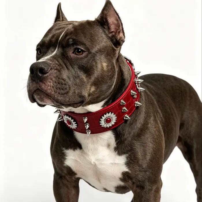 1 collier pour chien avec rivets