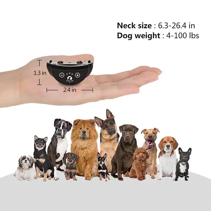 Collier de dressage anti-aboiement pour chien