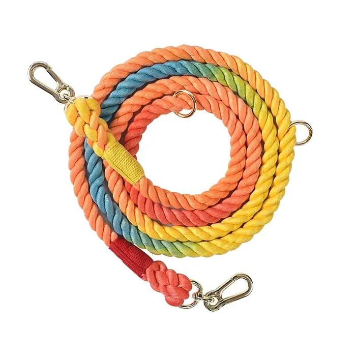 Laisse multifonctionnelle à double tête pour chien