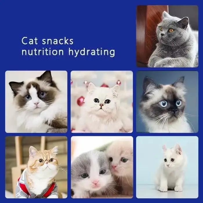 Snacks pour animaux de compagnie bandes pour chat jeune