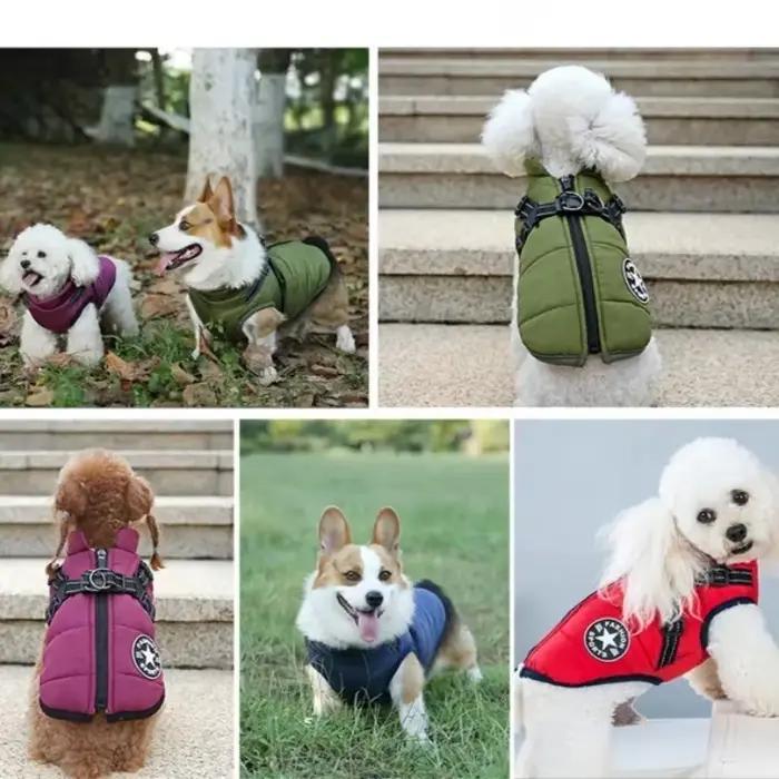 Grande veste pour chien avec harnais