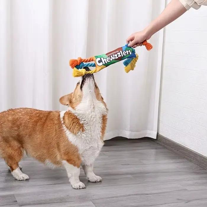 Jouet arc-en-ciel pour chien