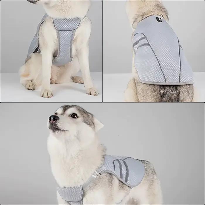 Gilet rafraîchissant pour chien
