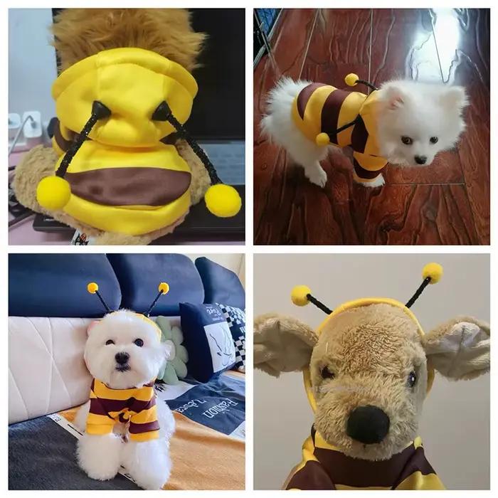 Vêtements pour animaux de compagnie Bee Pet : Manteau