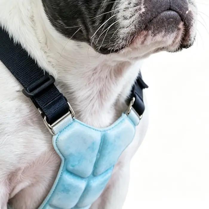 Harnais rafraîchissant pour chiens