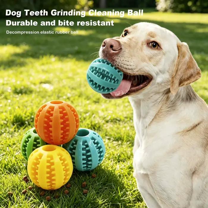 Balle de jeu pour chien