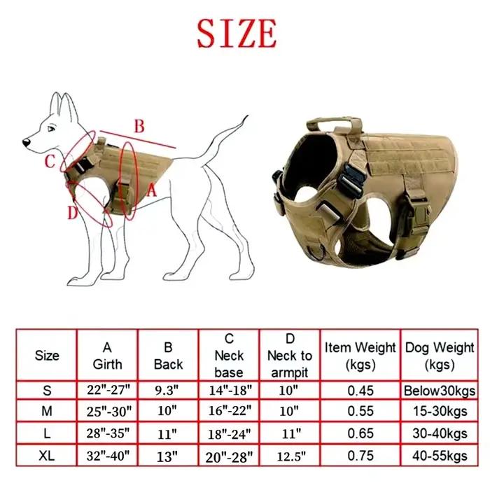 Grand ensemble harnais et laisse pour chien