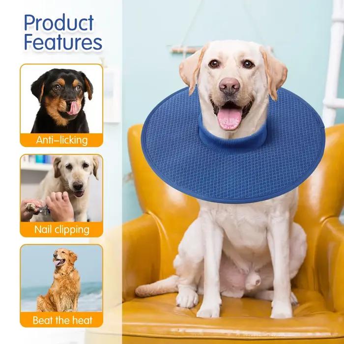 Collier de Récupération pour Chien après Chirurgie