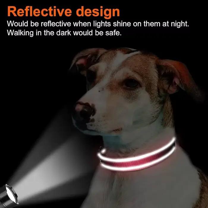 Collier réfléchissant pour chiens de taille moyenne et grande