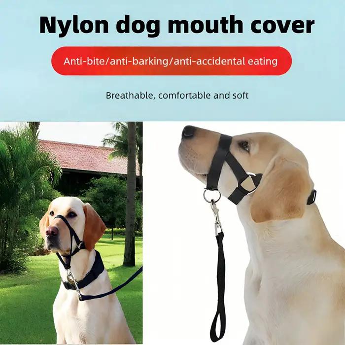 Collier pour chien muselière licou entraînement laisse