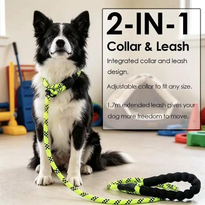Laisse de dressage pour chien en corde tressée robuste de 1
