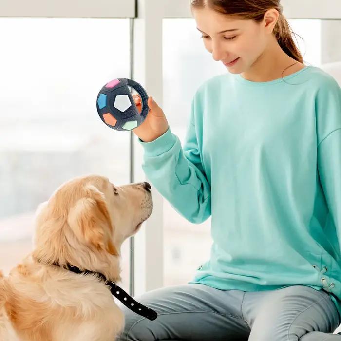 Jouet pour chien : Ballon de football flottant avec poignée