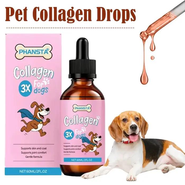Nourriture essentielle à base de collagène pour chiens