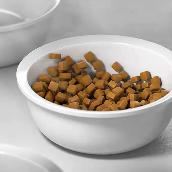 Bol en céramique pour chat