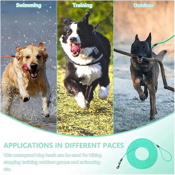 Laisse pour chien étanche entraînement rappel longs laisses pour animaux de compagnie en PVC 5FT 10 FT 20FT 30FT idéal pour l'entraînement au jeu de cour de plage