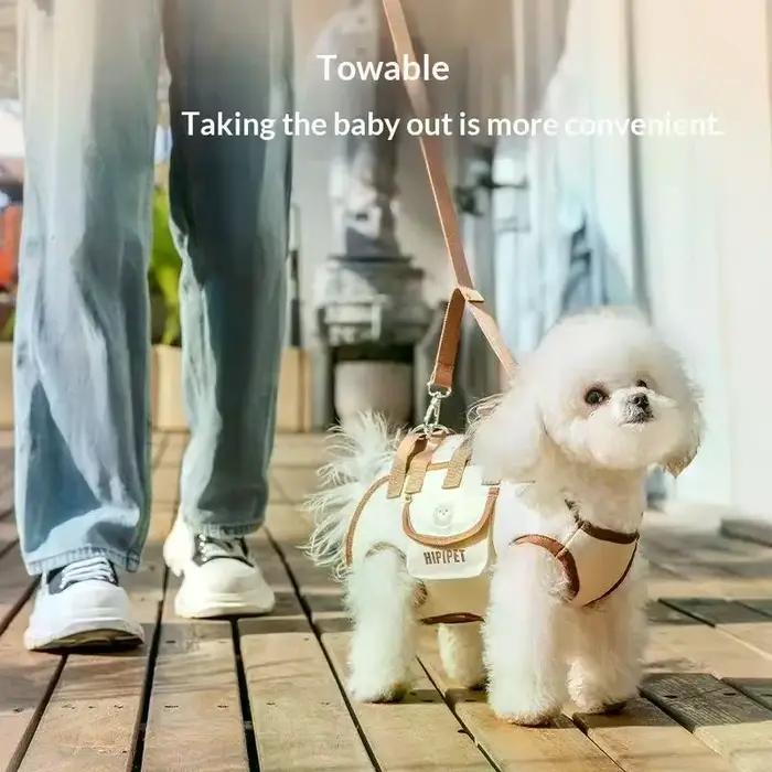 Sac de transport portable pour animaux de compagnie
