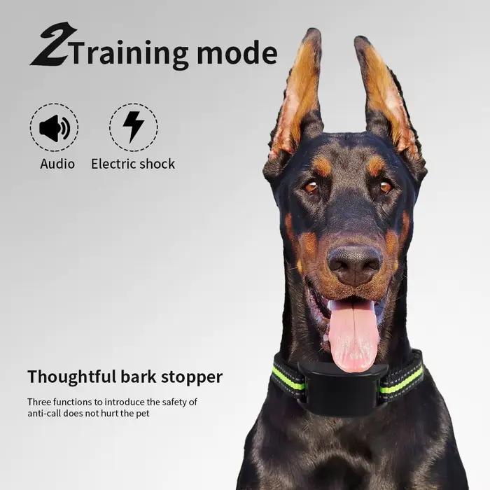 Colliers de formation pour chiens de compagnie